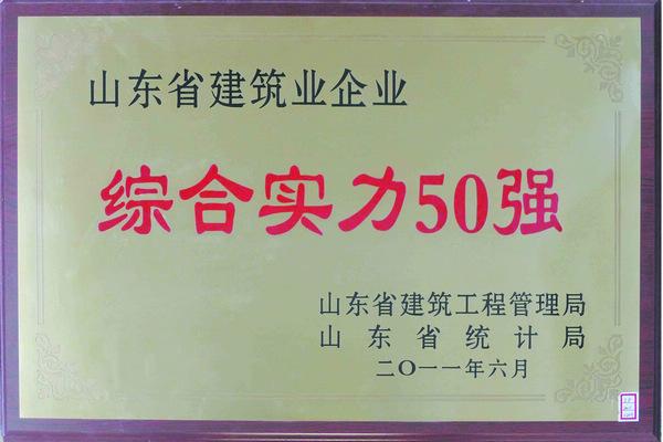 山東省綜合實力50強